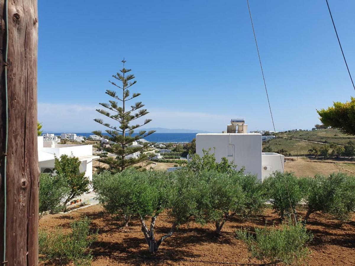 Anthoula'S Sea View Apartment Piso Livadi Exterior foto